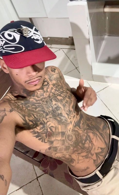 Fael Adestrador 8