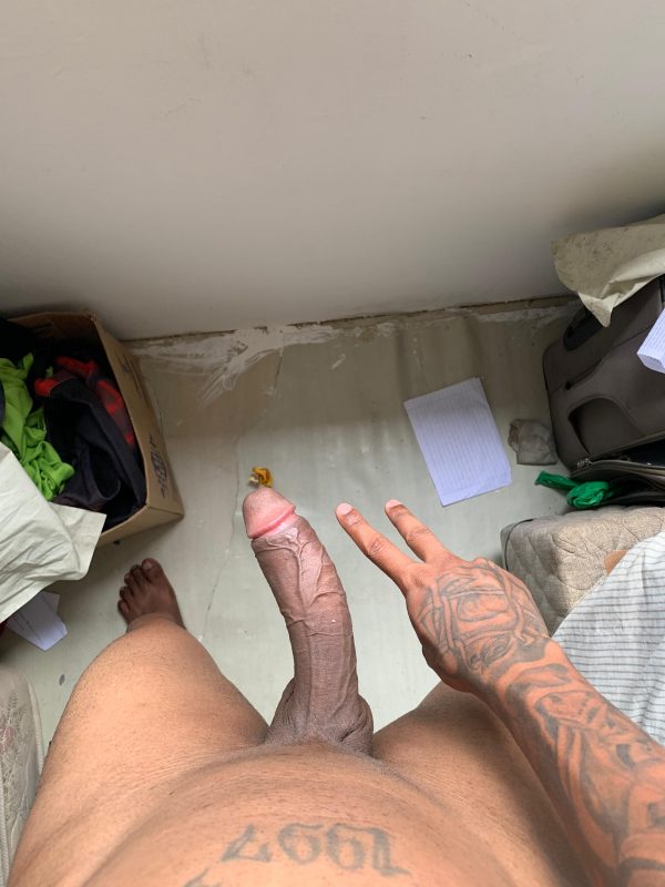 Lucas Cria21cm 57