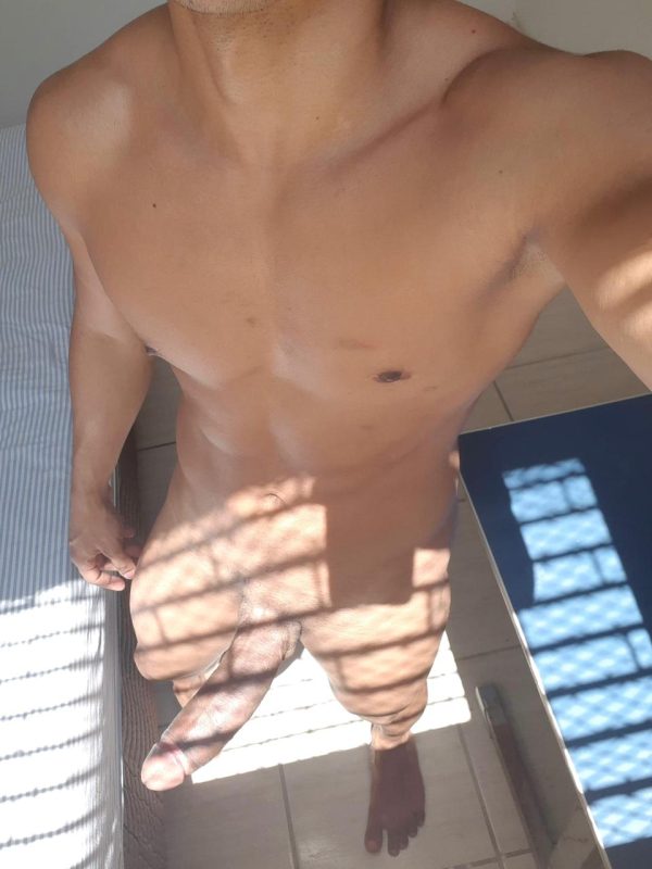 Leão 23cm 16