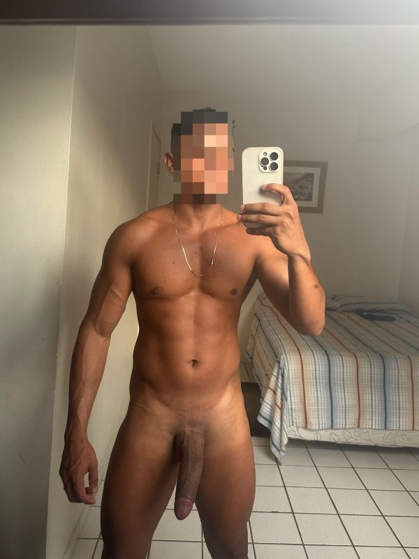 Leão 23cm 14