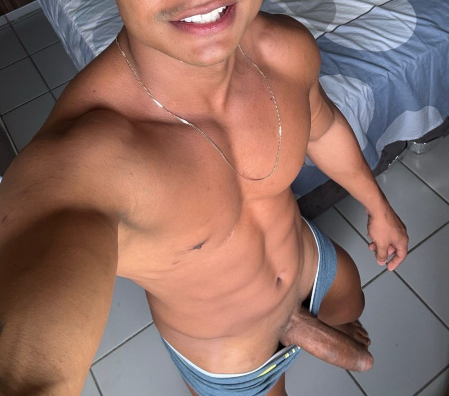 Leão 23cm 11