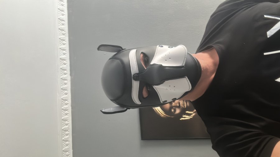 Thor Massagista 39