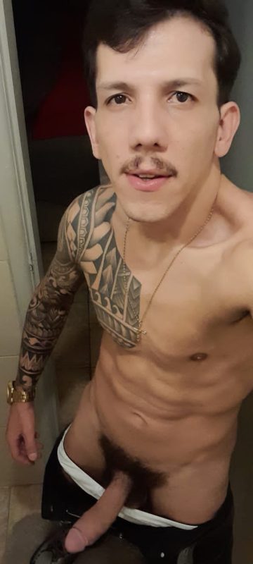 Rômulo Dotadão 14