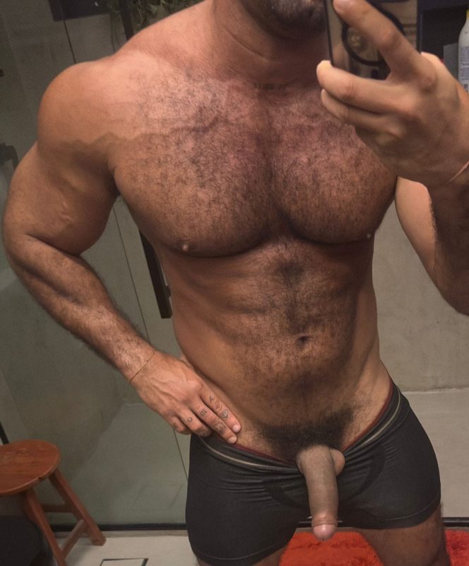 Giga Carioca 2