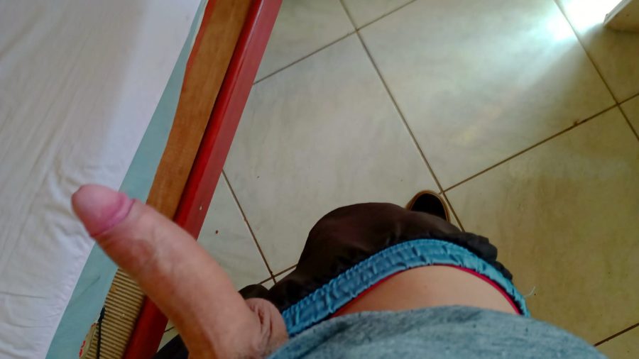 Versátil 19cm 33