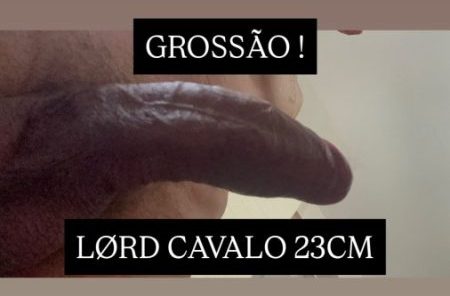 Lord Vilar 4