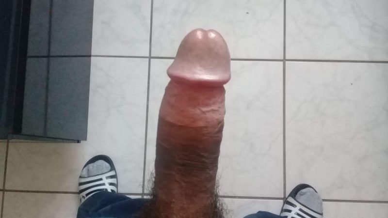Paulo Andrade 5