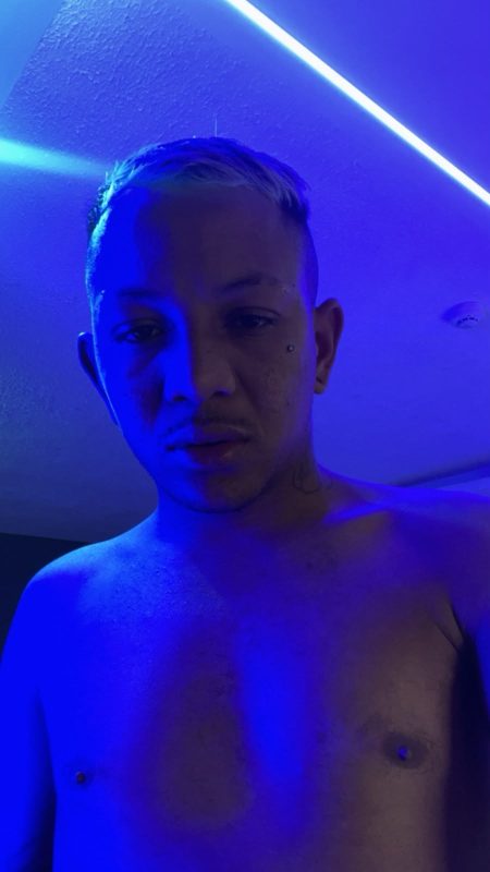 Adonis Sauce 2