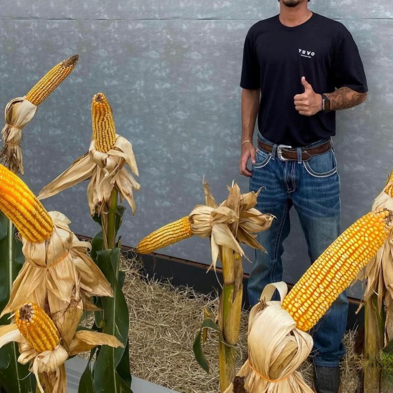 Pedro Agro 3