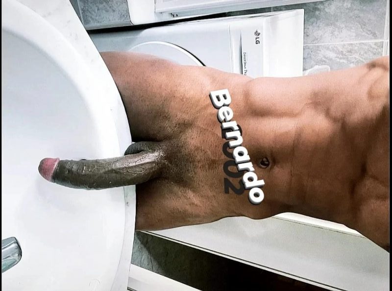 Bernardo Pires