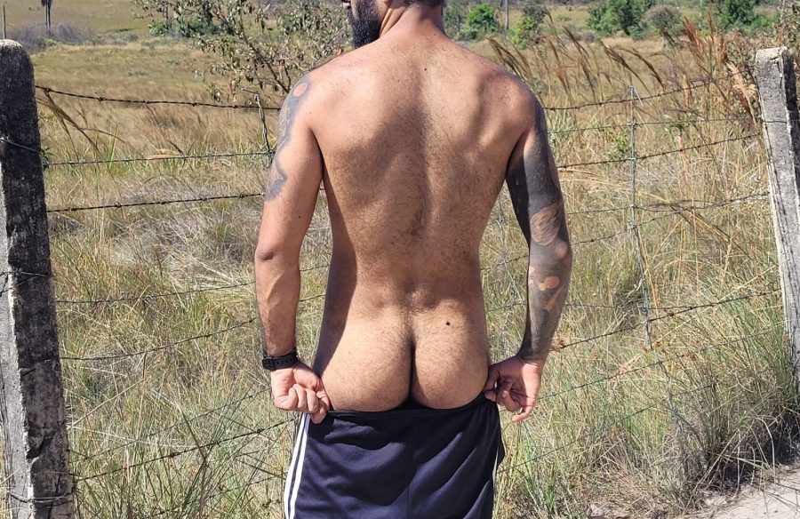 Peludo Dotado 7