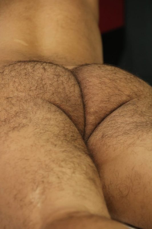 Parrudo Dotado 19