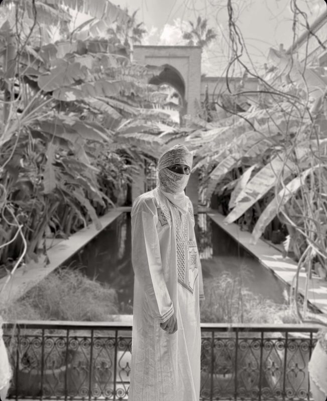 Josh Hammer 1