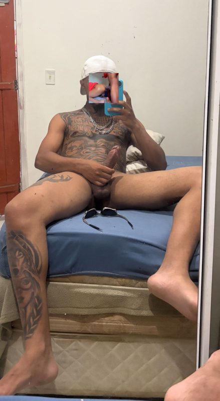 Novinho 20cm 1