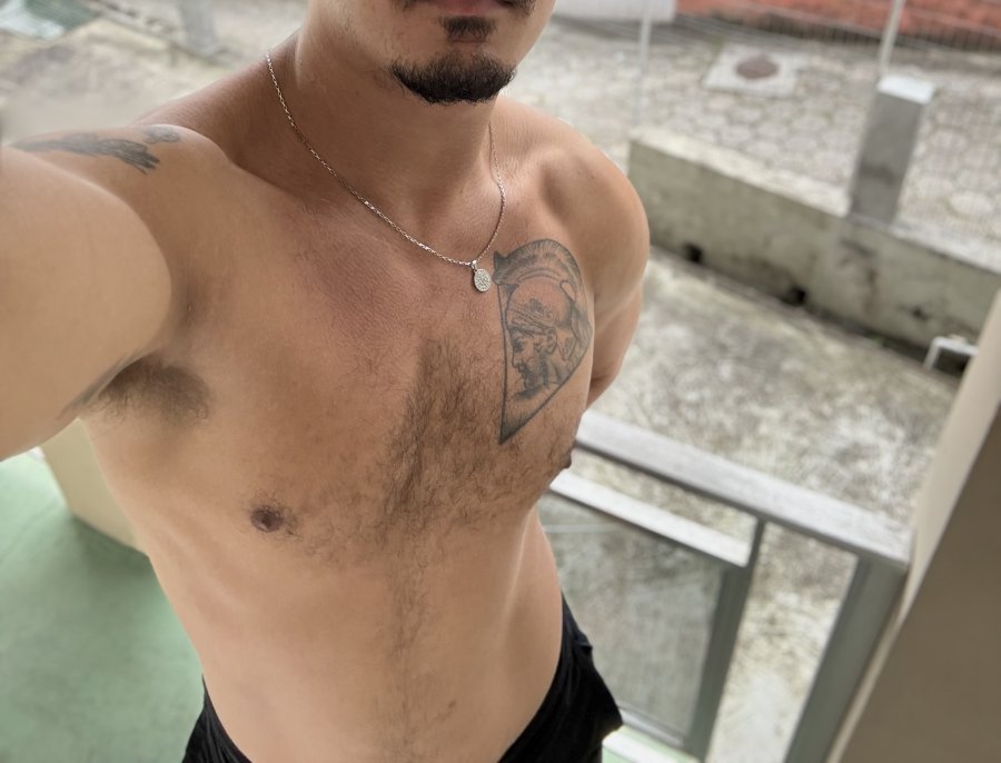 Cigano Gato 3