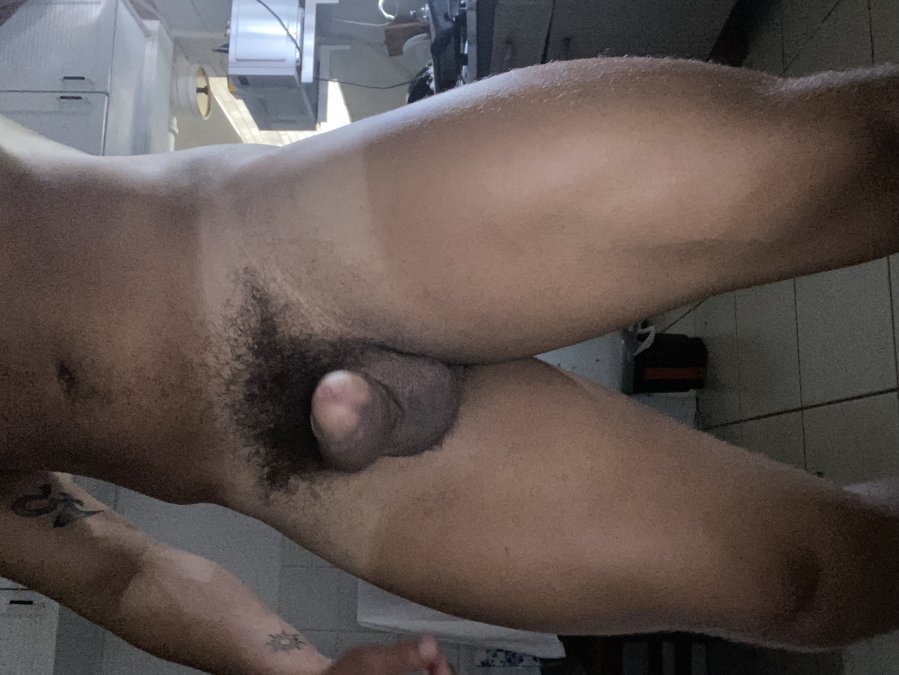 Cigano Gato 4