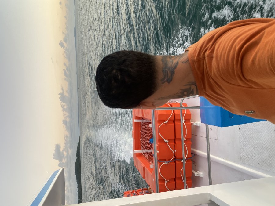 Allanzinho Dotado 3