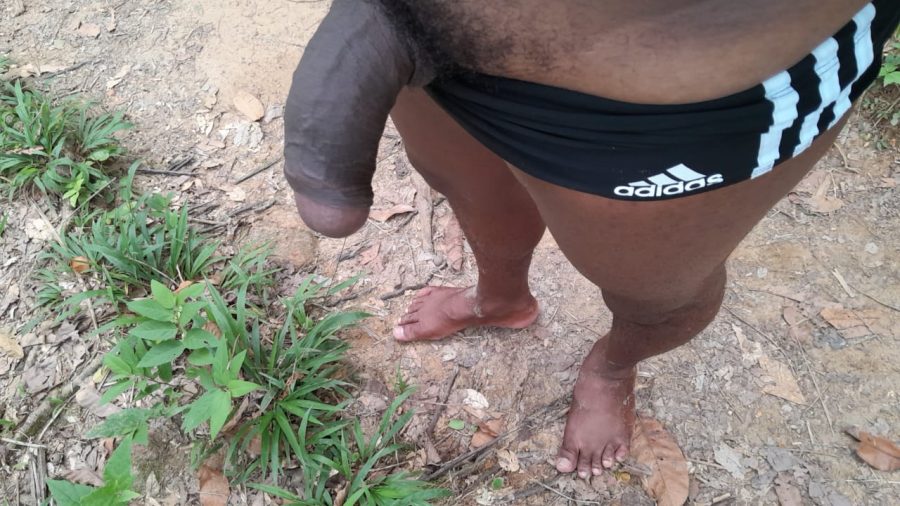 Picão Grosso 23cm 19