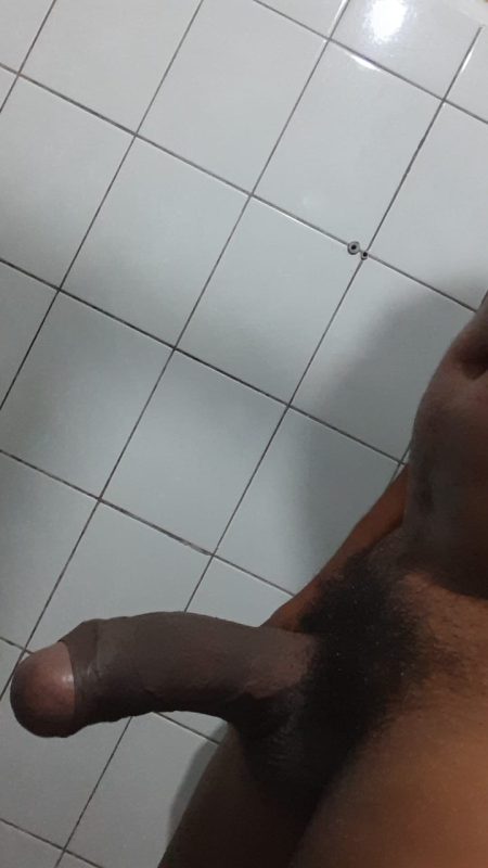 Picão Grosso 23cm 20