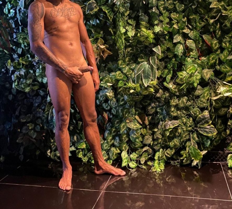 Novinho Ativo 4