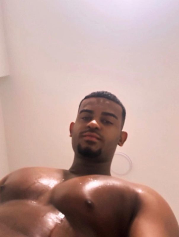 Novinho Sacudo 33