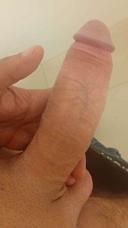 Bernardo 22CM 5