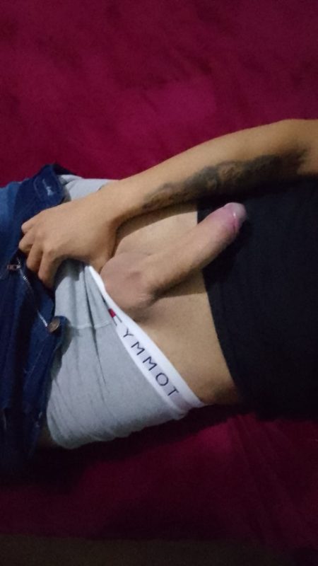 Bernardo 22CM 16
