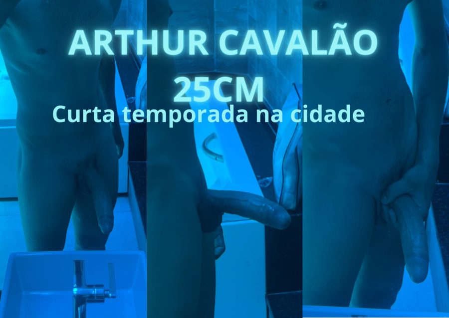 Arthur Cavalão 25cm 6
