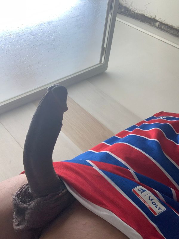 Bruno 21cm 8