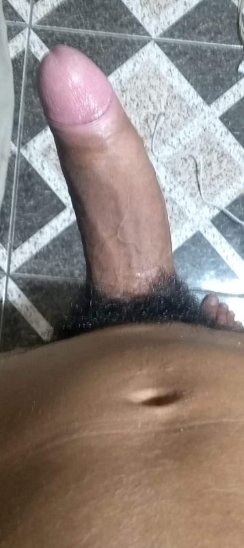 Novinho Dotado 23cm 14