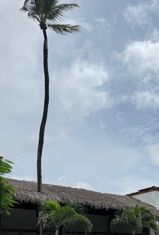 Fellipe Macedo 45