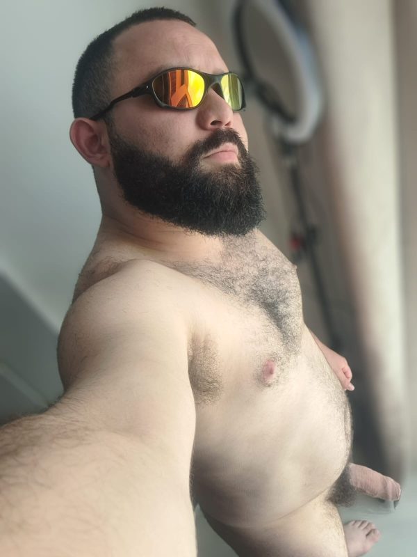 Urso Silva