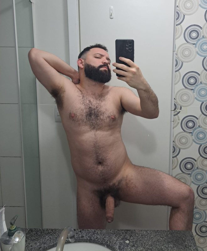 Urso Silva 5