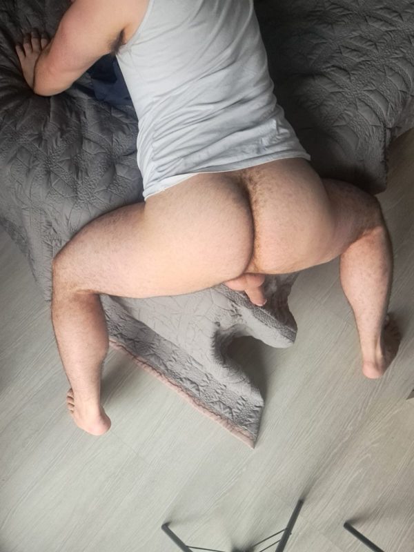 Urso Silva 9
