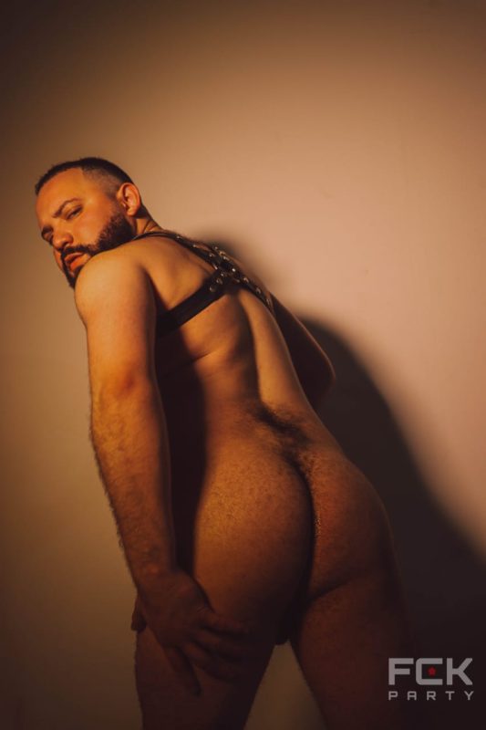Urso Silva 8