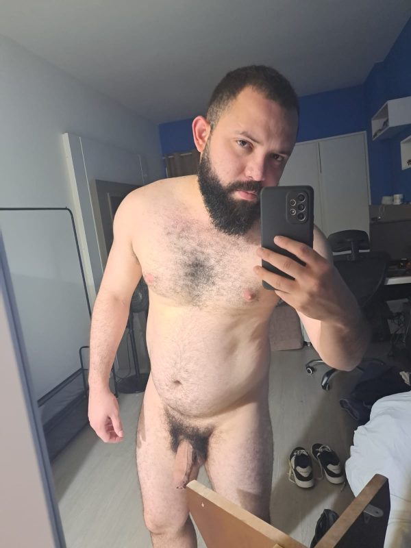 Urso Silva 7