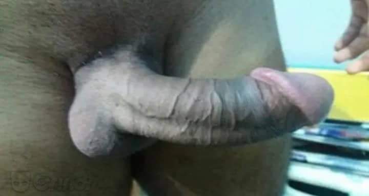Marcelo Alves