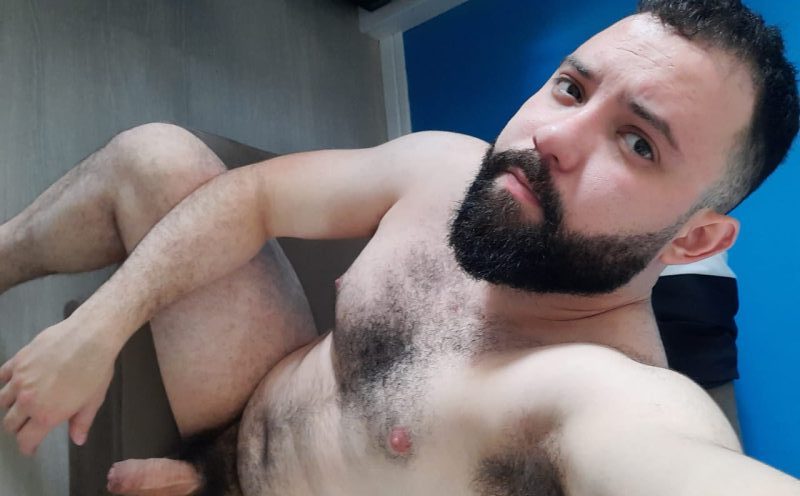 Urso Silva 2
