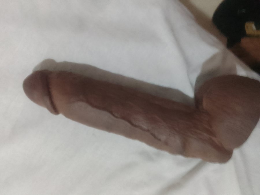 Alagoano Twink 21cm 11