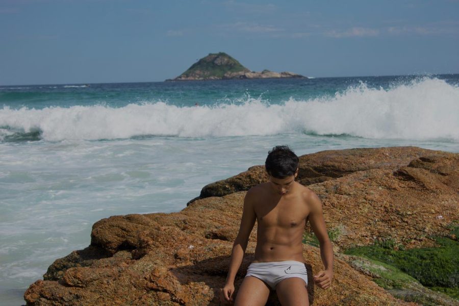 Breno Silva