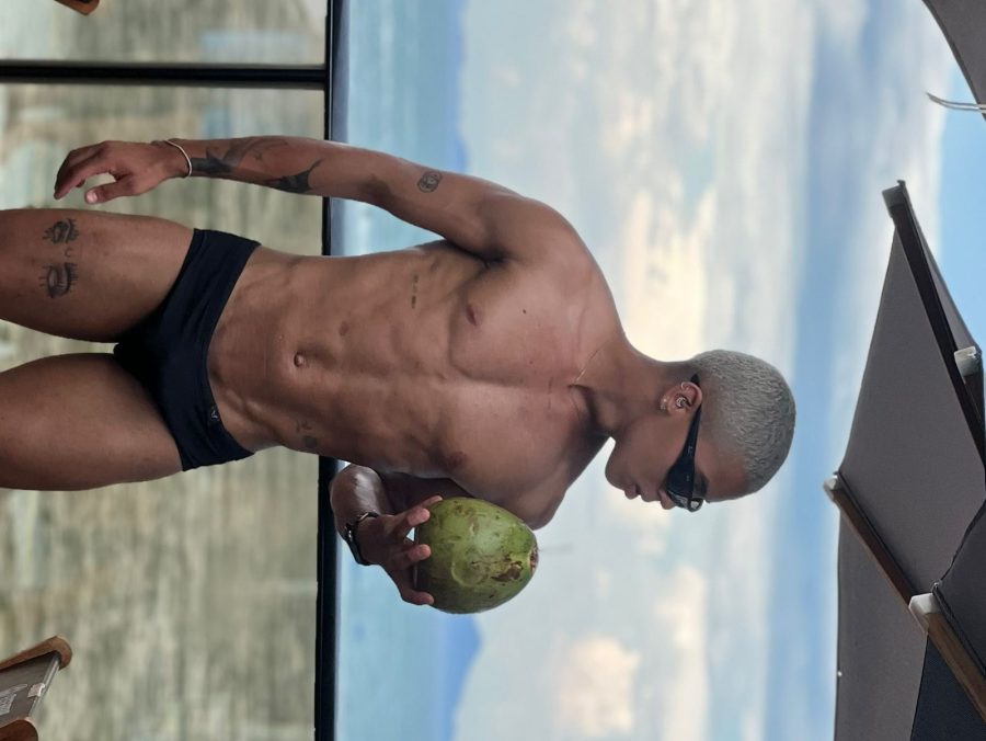 Noviinho