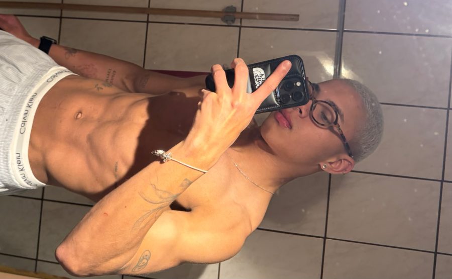 Noviinho