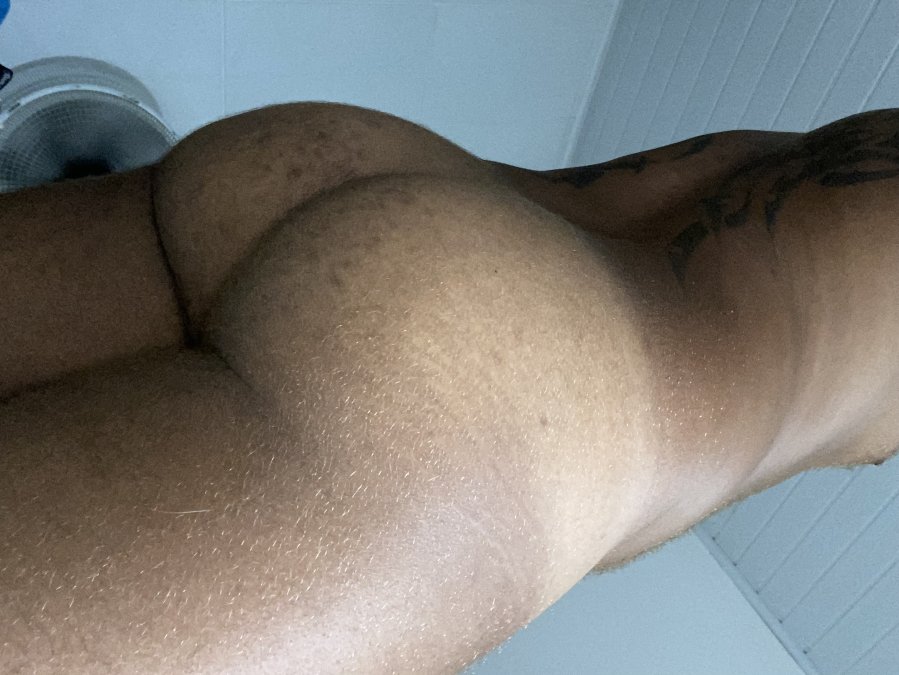 Tigo Peludo 4