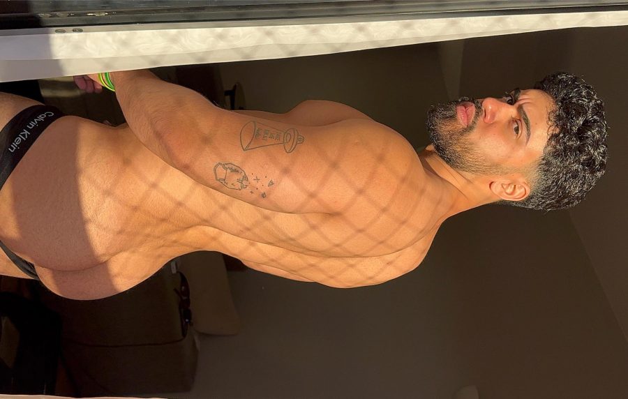 Ale Versátil
