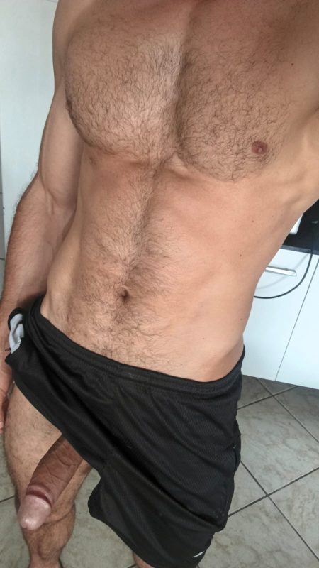 Ativo Dominador 13