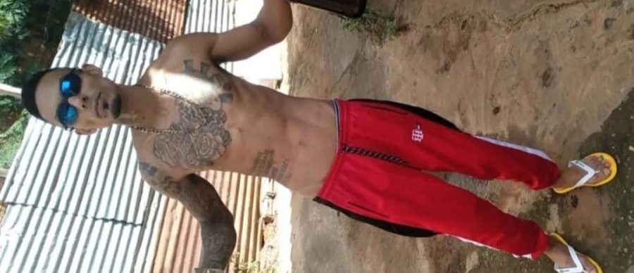 Magrinho Gostoso