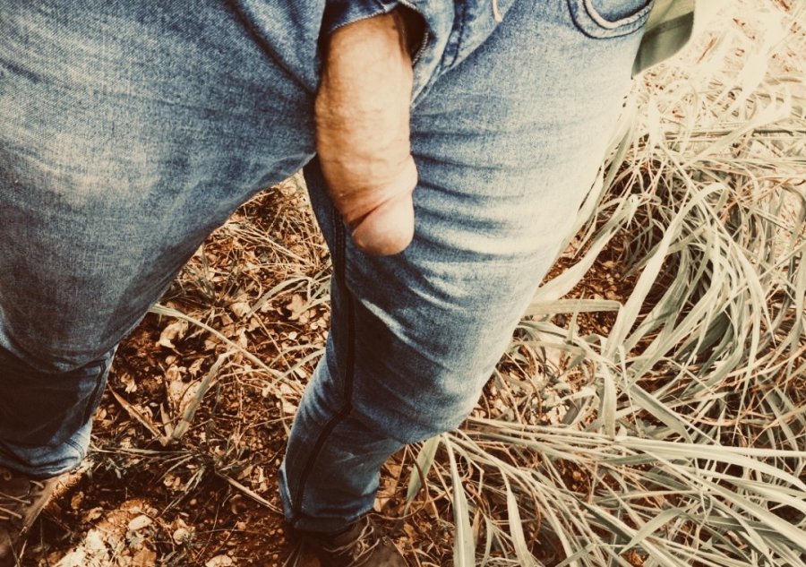 Goiano Dotado 8