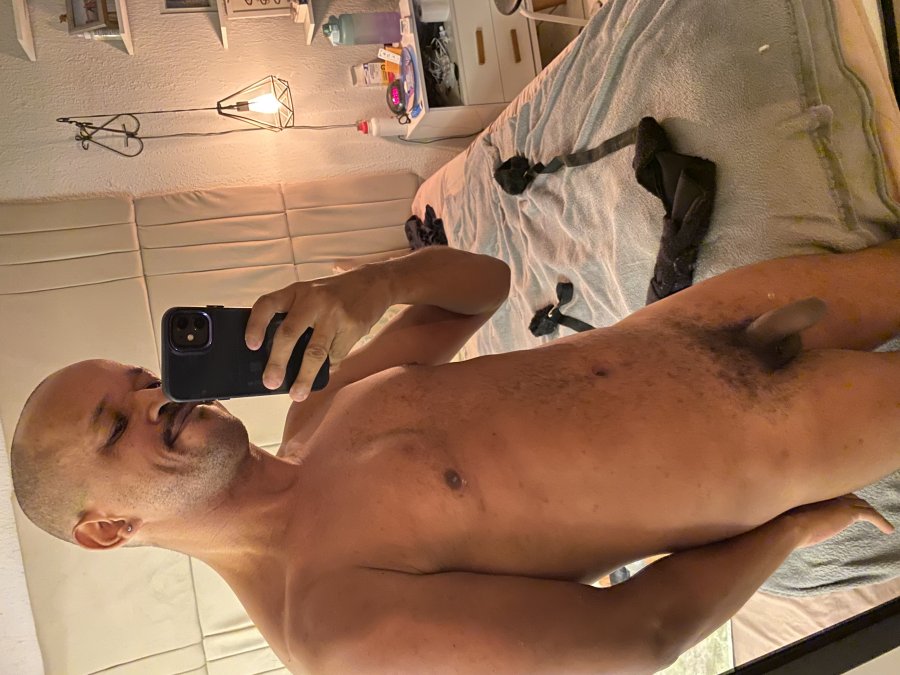Black Jay 1
