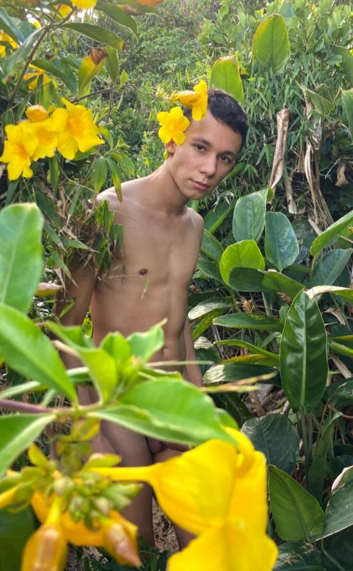Reylee Twink 25