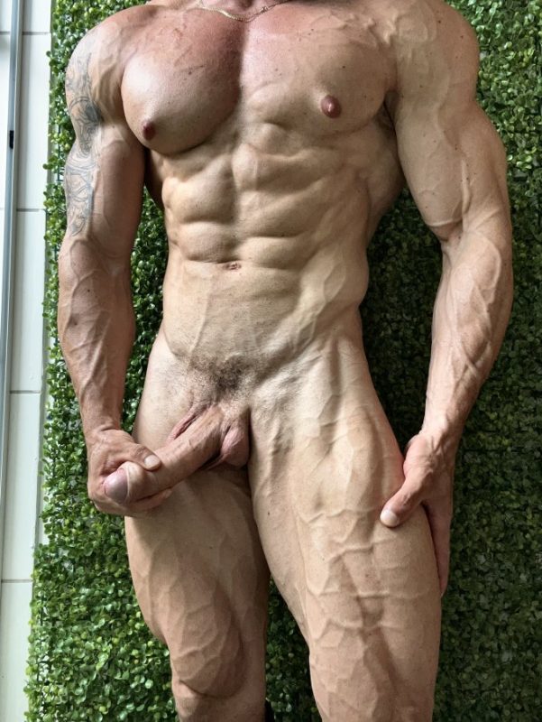 Sr Exibido 8